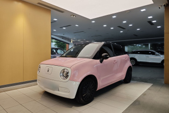 欧拉黑猫 2021款 301km 萌宠版
