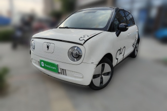 欧拉黑猫 2021款 301km 基础型