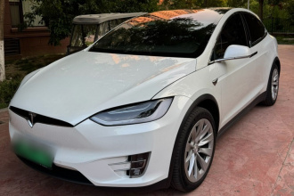 特斯拉 Model X 2019款 长续航版