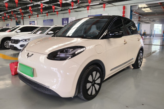 五菱汽车 五菱缤果 2025款 333km 悦享款