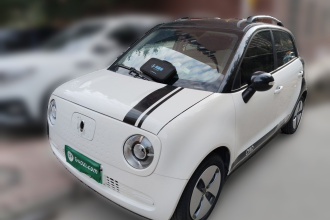 欧拉黑猫 2021款 301km 基础型