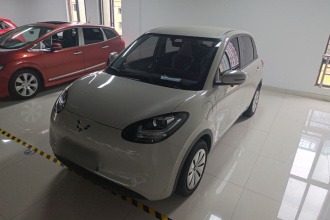 五菱汽车 五菱缤果 2024款 203km 轻享款