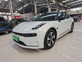 极氪001 2022款 长续航双电机 WE版