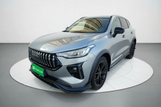 哈弗赤兔 2021款 激擎版 1.5T 黄金兔