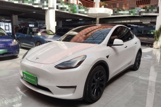 特斯拉 Model Y 2021款 长续航全轮驱动版 3D7