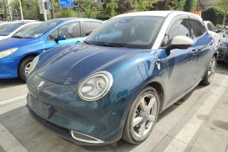 欧拉好猫 2021款 400km标准续航 维纳斯版 磷酸铁锂