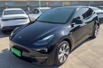 特斯拉 Model Y 2021款 标准续航后驱版