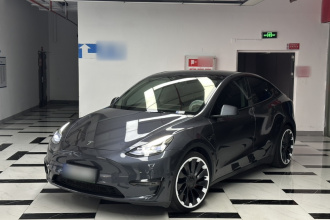 特斯拉 Model Y 2022款 Performance高性能全轮驱动版
