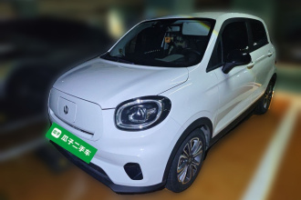 零跑汽车 零跑T03 2021款 400轻享版 磷酸铁锂