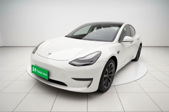 特斯拉 Model 3 2020款 改款 标准续航后驱升级版