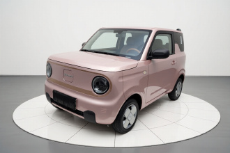 吉利银河 2024款 熊猫mini 200km 龙腾PRO版