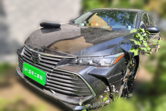 丰田 亚洲龙 2019款 2.0L XLE尊贵版 国VI