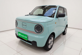 吉利银河 2024款 熊猫mini 200km 耐力熊