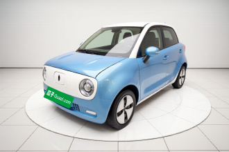 欧拉黑猫 2019款 310km 灵趣版