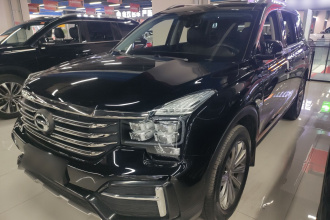 广汽传祺 传祺GS8 2020款 390T 两驱豪华智联版（七座）