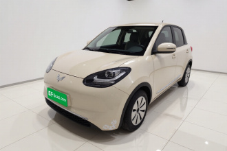 五菱汽车 五菱缤果 2023款 203km 轻享款