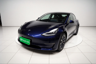 特斯拉 Model 3 2020款 改款 标准续航后驱升级版