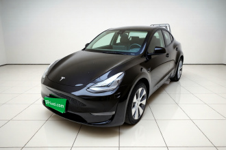 特斯拉 Model Y 2021款 标准续航后驱版