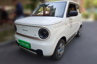 吉利银河 2023款 熊猫mini 200km 耐力熊