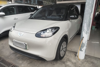 五菱汽车 五菱缤果 2023款 203km 轻享款