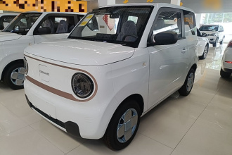 吉利银河 2024款 熊猫mini 200km 耐力熊