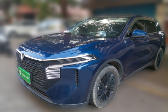 启辰大V 2022款 260T 黑马版·爱豆