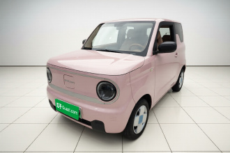 吉利银河 2023款 熊猫mini 200km 耐力熊