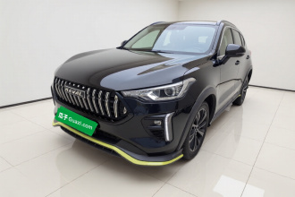 哈弗赤兔 2021款 激擎版 1.5T 白银兔