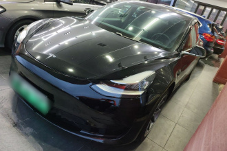 特斯拉 Model 3 2020款 标准续航后驱升级版