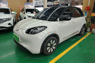 五菱汽车 五菱缤果 2024款 333km 悦享款