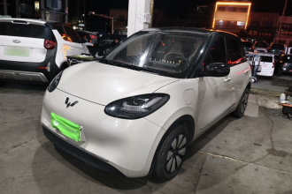 五菱汽车 五菱缤果 2024款 333km 悦享款