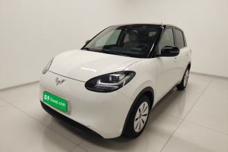 五菱汽车 五菱缤果 2023款 203km 轻享款