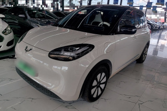五菱汽车 五菱缤果 2024款 333km 灵犀互联款
