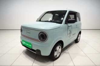 吉利银河 2023款 熊猫mini 200km 耐力熊