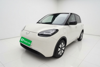 五菱汽车 五菱缤果 2024款 333km 悦享款