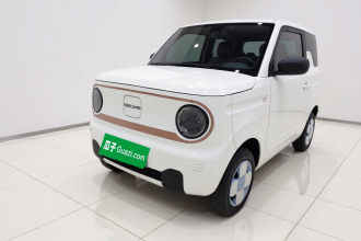 吉利银河 2024款 熊猫mini 200km 耐力熊