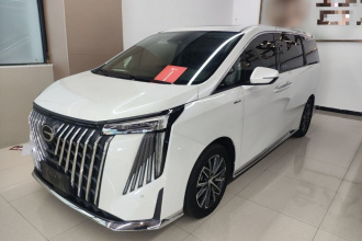 广汽传祺 传祺M8 2024款 大师系列 400T 尊贵版