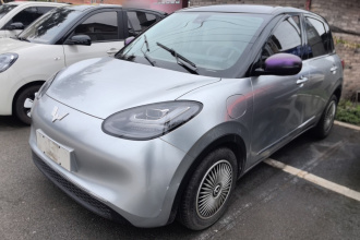 五菱汽车 五菱缤果 2023款 333km 悦享款