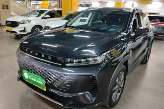 星途追风 2024款 1.5T CVT迅捷版
