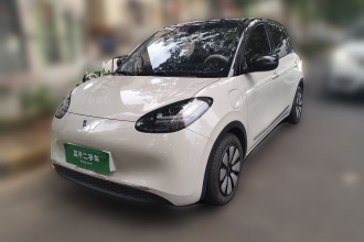 五菱汽车 五菱缤果 2023款 333km 悦享+款