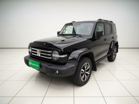 坦克300 2023款 城市版 2.0T 很有型