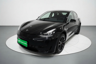 特斯拉 Model 3 2020款 标准续航后驱升级版