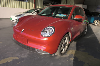 欧拉好猫 2022款 400km标准续航 豪华型 磷酸铁锂