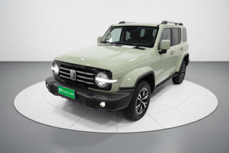 坦克300 2021款 城市版 2.0T 很有型