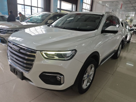 哈弗H4 2019款 红标 1.5GDIT DCT精英智联版