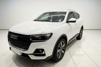 哈弗H6 2023款 国潮版 1.5T 自动冠军版