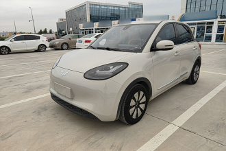 五菱汽车 五菱缤果 2023款 203km 舒享款