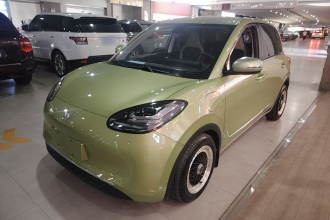 五菱汽车 五菱缤果 2023款 333km 悦享款