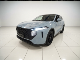 启辰大V 2021款 260T 爱豆版