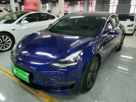 特斯拉 Model 3(进口) 2019款 长续航全轮驱动版